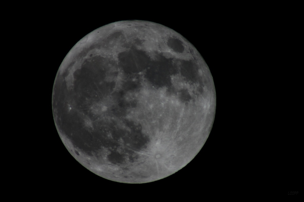 IMG_3251x.JPG - 28.11.2012 Księżyc