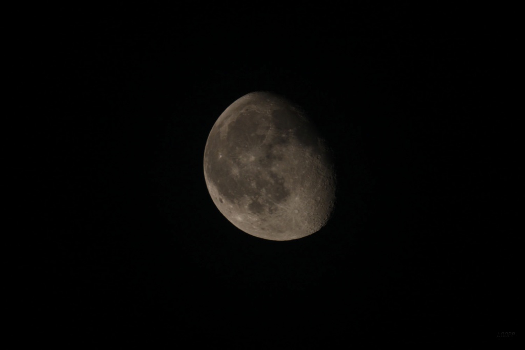 ksiezyc16092011.JPG - 16.09.2011 Księżyc